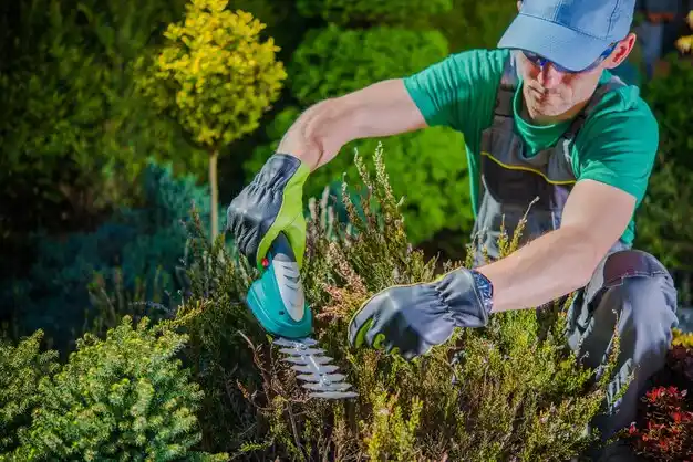 landscaping services Jonesburg